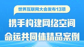 一图速览2024年“携手构建网络空间命运共同体精品案例”